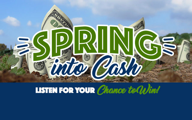 2020 Spring Into Cash Contest