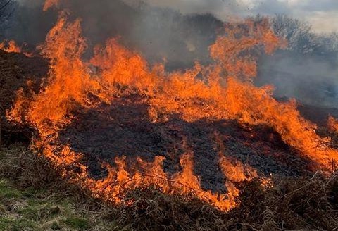 Pipestone National Monument Plans Prescribed Burn