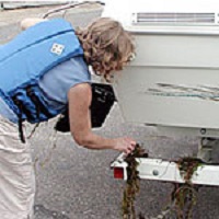 Anglers can prevent the spread of aquatic invasive species