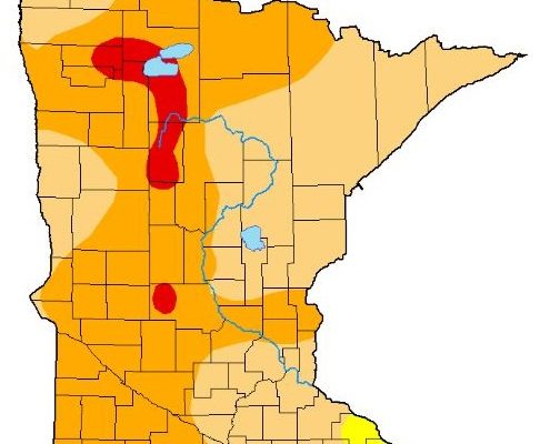 Over half of Minnesota in severe drought
