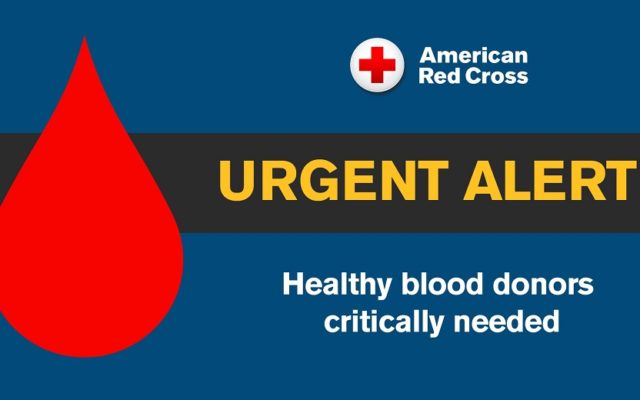 Severe Shortage: Blood Donors Needed In Redwood / Renville Counties