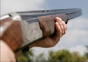 Brainerd man sentenced for firing shotgun into the air in Walnut Grove