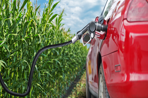 Craig proposes bill to allow year-round sales of ethanol fuel blends of 10+ percent