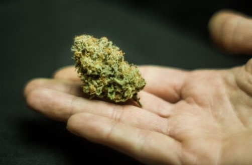 What to know as recreational marijuana becomes legal in Minnesota on Aug. 1