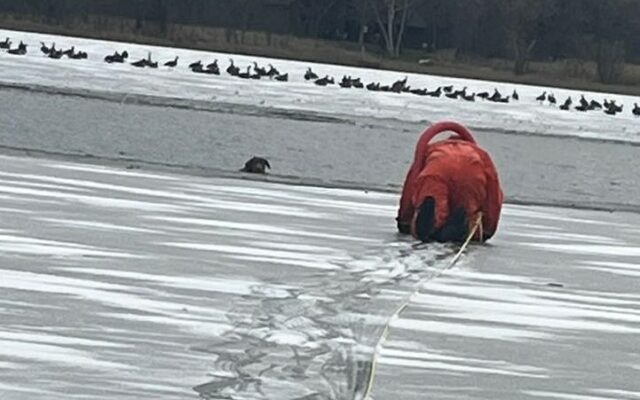 Kandiyohi County Sheriff’s Office rescues dog from half-frozen lake Saturday