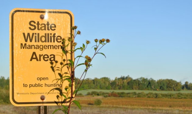 DNR begins habitat projects in Lyon County wildlife management areas