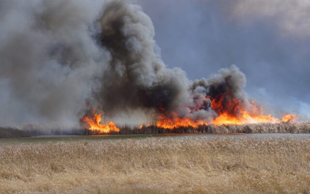 Three injured in Waseca wildfire Sunday,‘less than 2,000’ acres burned